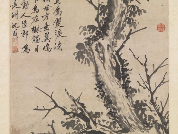明沈周雙烏在樹圖　軸