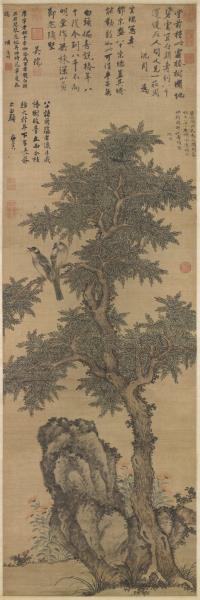 明沈周白頭長春圖　軸