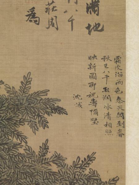 明沈周白頭長春圖　軸