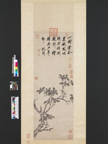 明沈周金粟晚香圖　軸