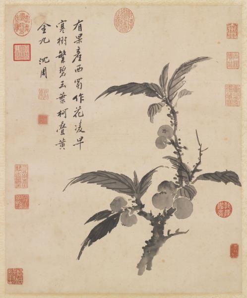 明沈周畫枇杷　軸