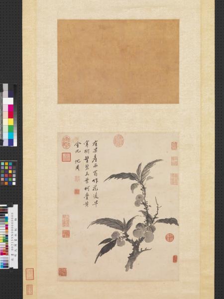 明沈周畫枇杷　軸