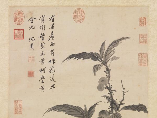明沈周畫枇杷　軸