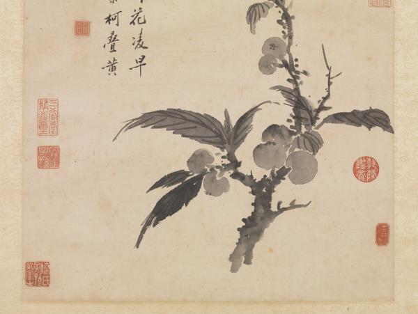 明沈周畫枇杷　軸