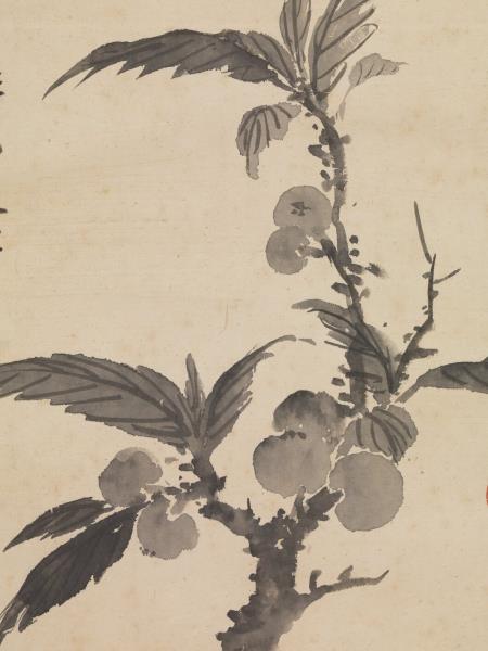 明沈周畫枇杷　軸