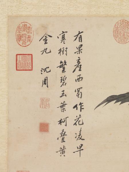 明沈周畫枇杷　軸