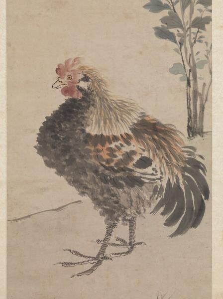 明沈周畫雞　軸