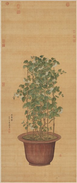 清蔣廷錫月來香圖　軸