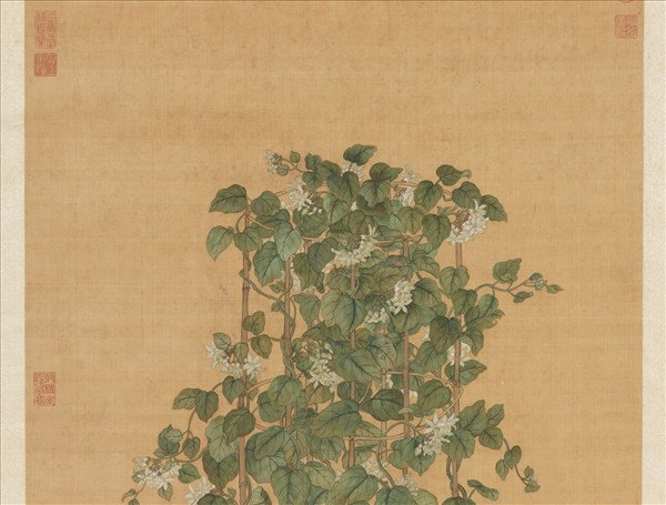 清蔣廷錫月來香圖　軸