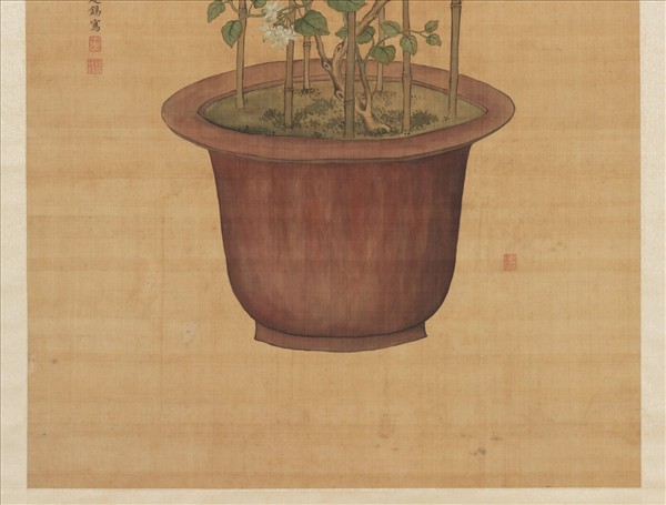 清蔣廷錫月來香圖　軸