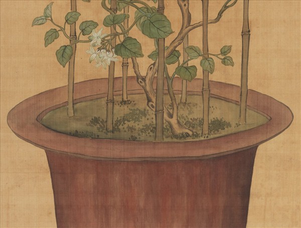 清蔣廷錫月來香圖　軸