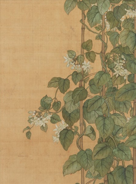 清蔣廷錫月來香圖　軸