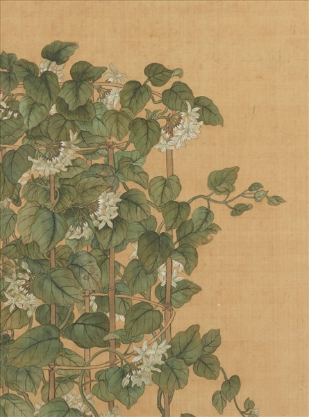 清蔣廷錫月來香圖　軸