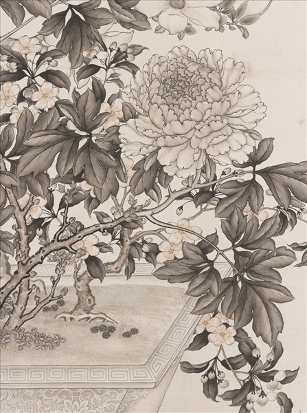 清沈全墨牡丹　軸