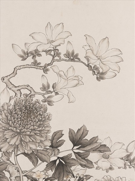 清沈全墨牡丹　軸