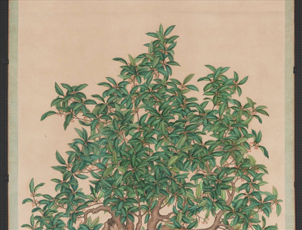 清沈全畫桂花　軸