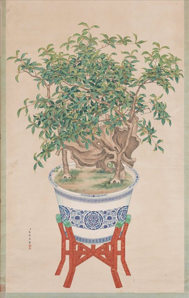 清張愷畫盆桂　軸