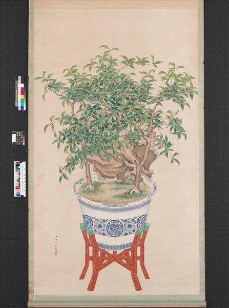 清張愷畫盆桂　軸