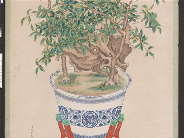 清張愷畫盆桂　軸