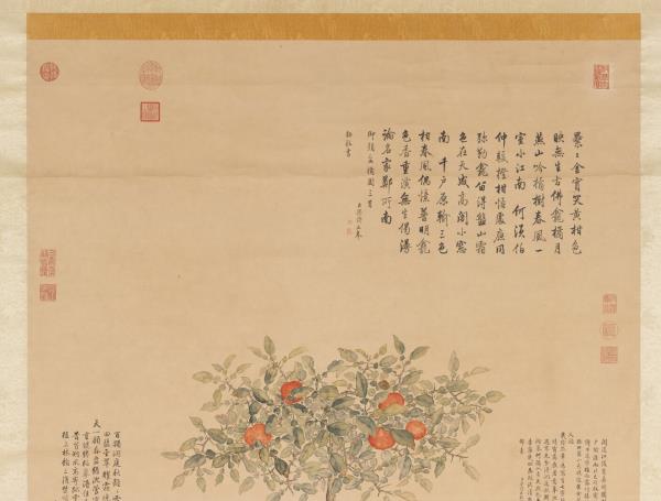 清余省仿御筆盆橘圖　軸