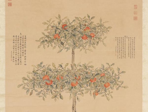 清余省仿御筆盆橘圖　軸