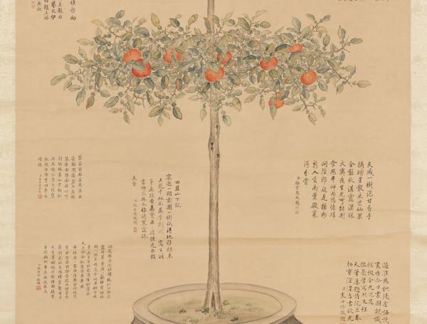 清余省仿御筆盆橘圖　軸