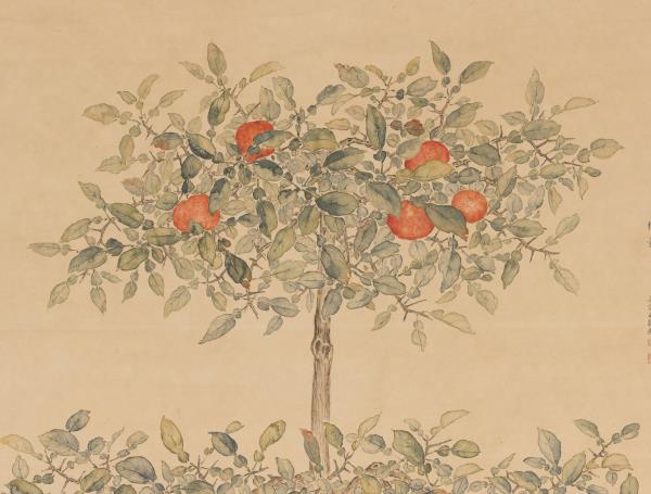 清余省仿御筆盆橘圖　軸