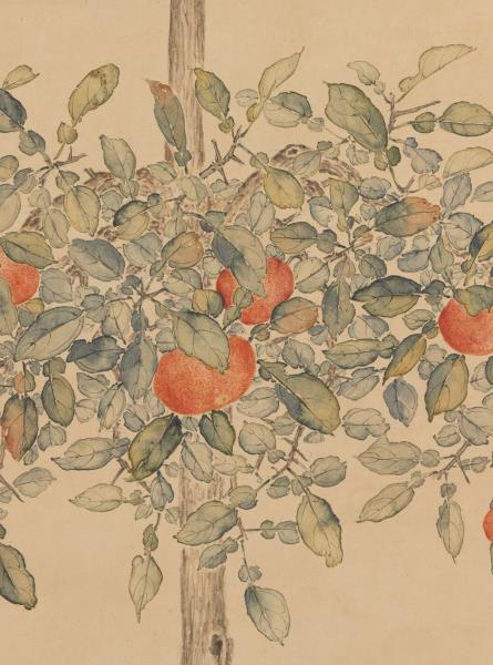 清余省仿御筆盆橘圖　軸