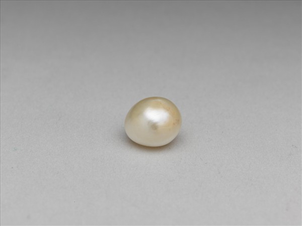 珍珠