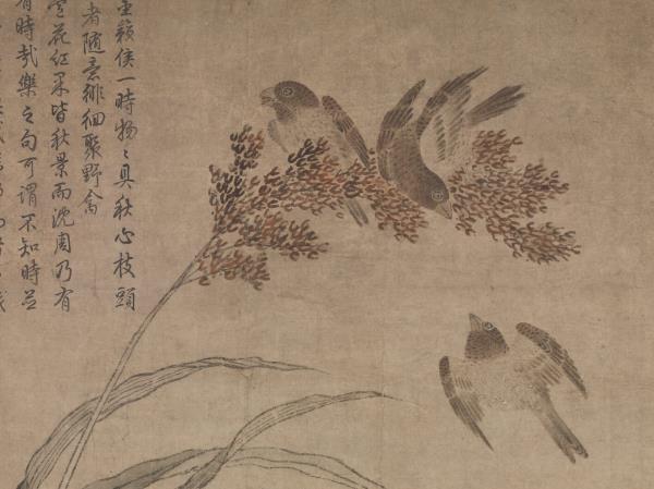 明呂紀畫草花野禽　軸