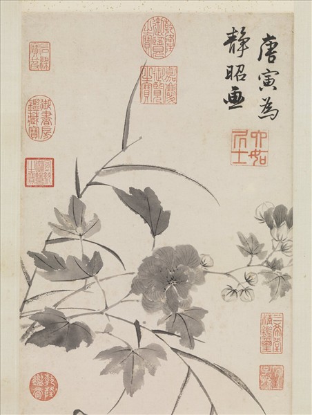 明唐寅臨水芙蓉圖　軸