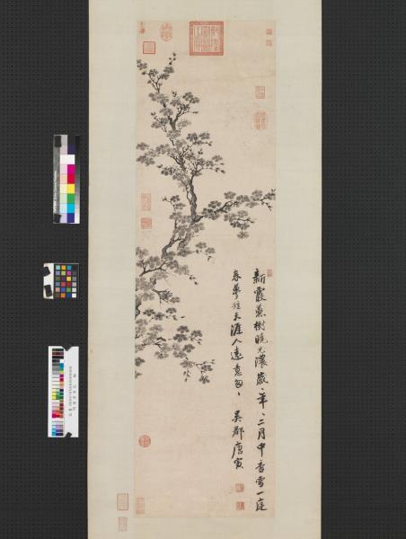 明唐寅杏花　軸