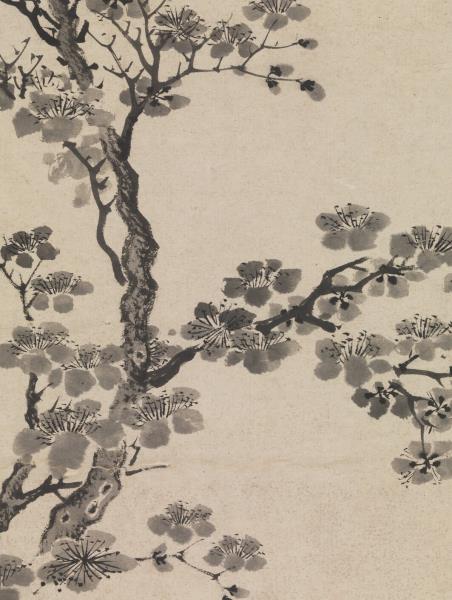 明唐寅杏花　軸