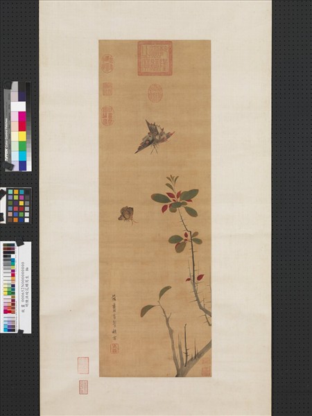 明陳洪綬花蝶寫生　軸