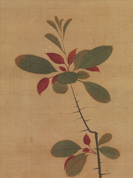 明陳洪綬花蝶寫生　軸