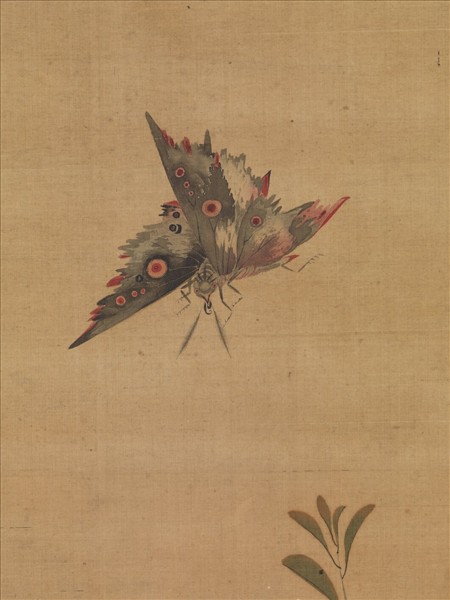 明陳洪綬花蝶寫生　軸