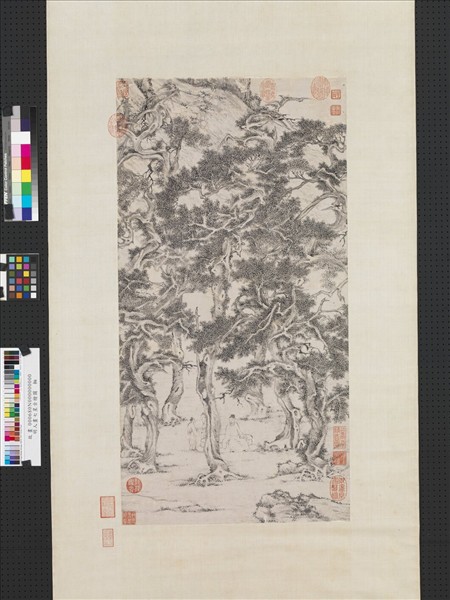 明人畫七星古檜圖　軸