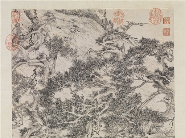 明人畫七星古檜圖　軸