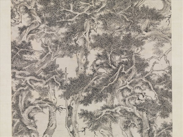 明人畫七星古檜圖　軸