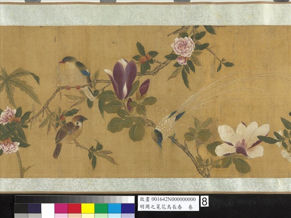 明周之冕花鳥長春　卷