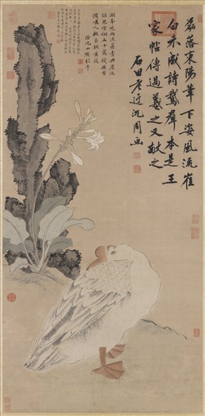 明沈周花下睡鵝　軸