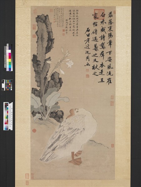 明沈周花下睡鵝　軸