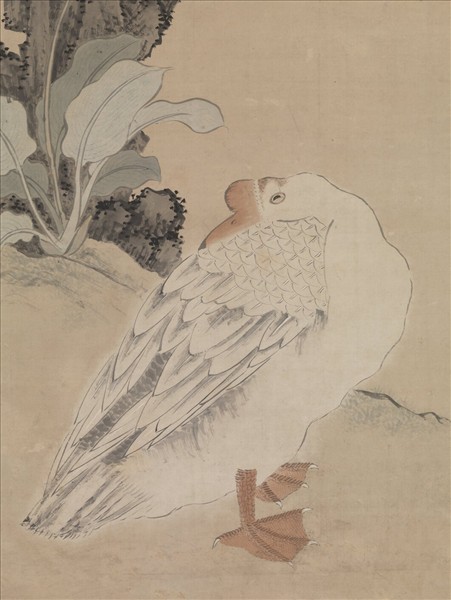 明沈周花下睡鵝　軸