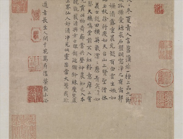 明沈貞吉畫菖蒲　軸