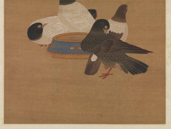 明宣宗畫金盆鵓鴿　軸