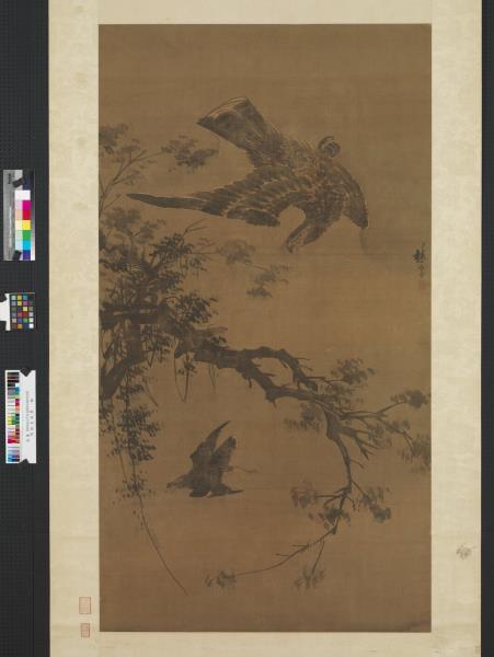 明林良秋鷹　軸