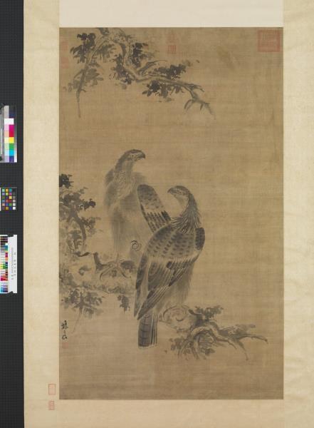 明林良畫鷹　軸