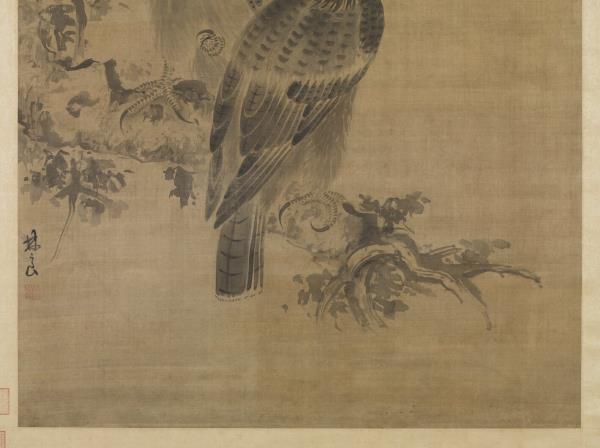 明林良畫鷹　軸