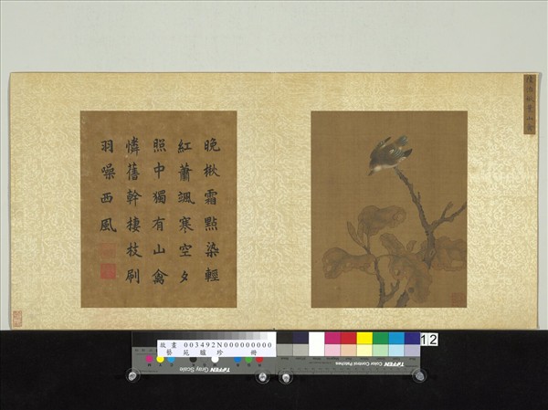 藝苑臚珍　冊　明陸治楸葉山禽