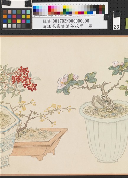 清汪承霈畫萬年花甲　卷